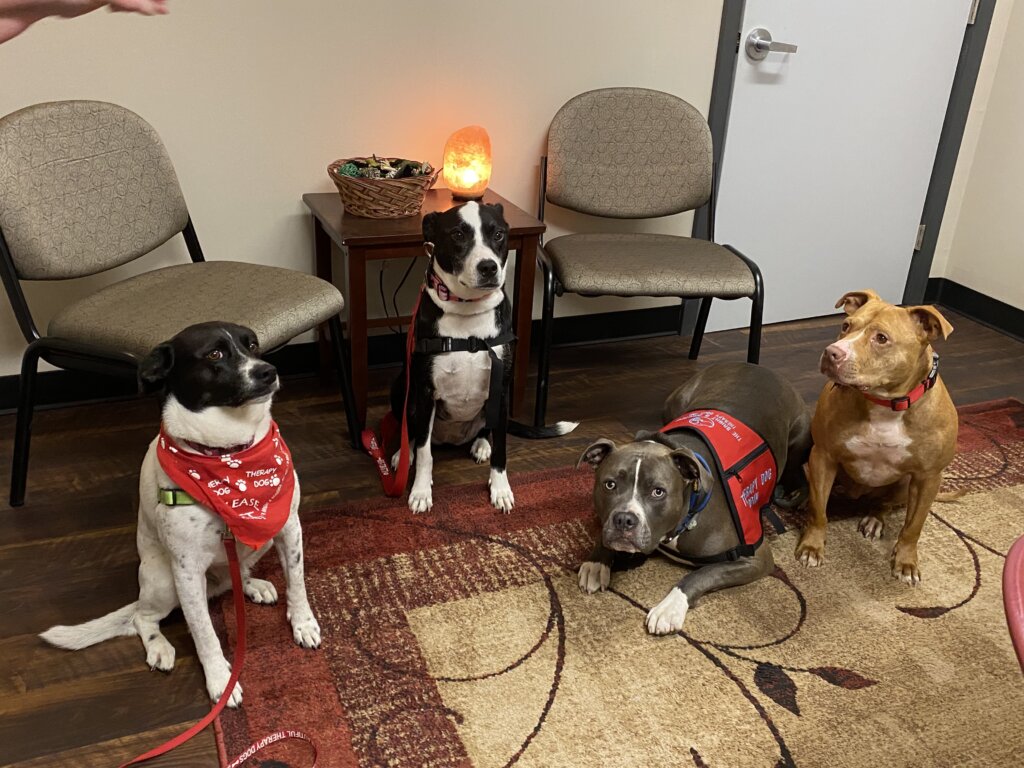 Therapy dogs at MHAST's Sunrise Wellness Center